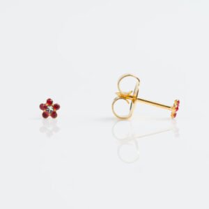 Aretes tipo topo